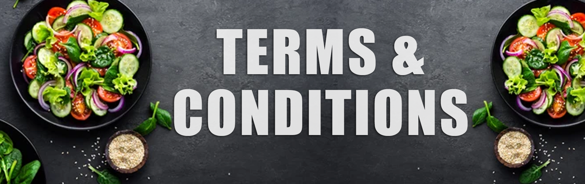 Terms and Conditions